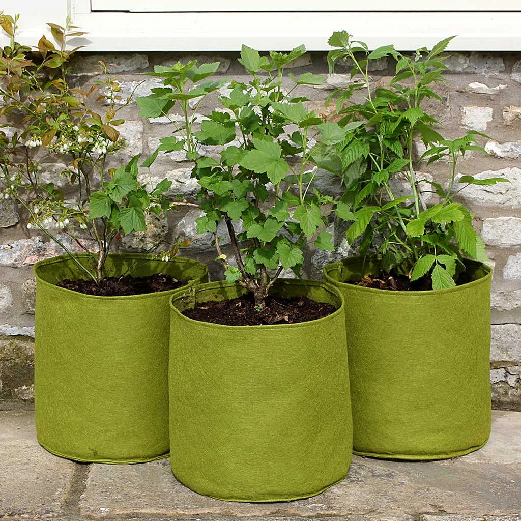 Agriframes Vigoroot™ Pots & Planters 10 Agriframes Vigoroot™ Pots & Planters