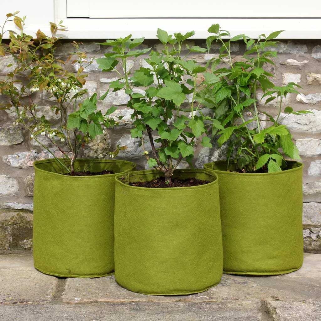 Agriframes Vigoroot™ Pots & Planters 11 Agriframes Vigoroot™ Pots & Planters
