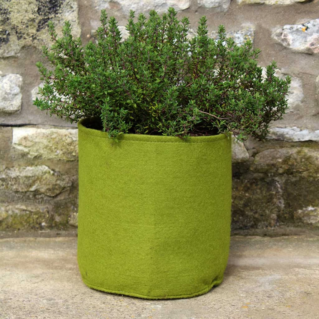 Agriframes Vigoroot™ Pots & Planters 5 Agriframes Vigoroot™ Pots & Planters