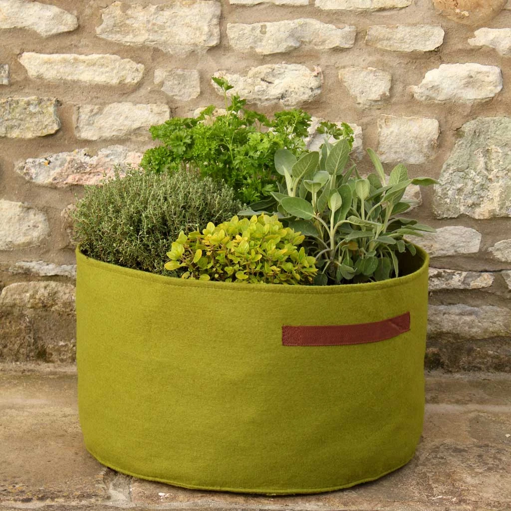 Agriframes Vigoroot™ Pots & Planters 6 Agriframes Vigoroot™ Pots & Planters