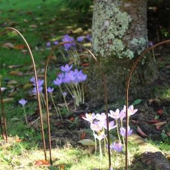 Agriframes Border Edging Hoops (Pk Of 6) 12 Agriframes Border Edging Hoops (Pk Of 6)