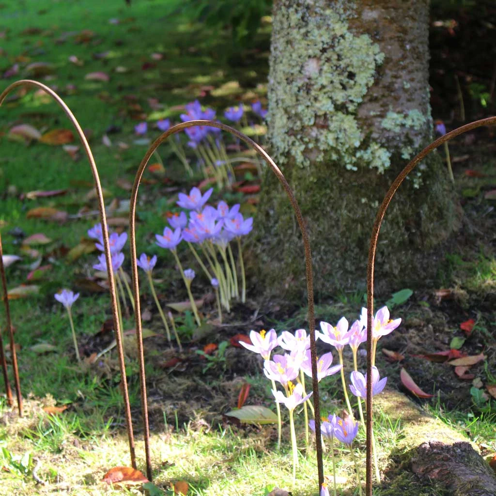 Agriframes Border Edging Hoops (Pk Of 6) 6 Agriframes Border Edging Hoops (Pk Of 6)