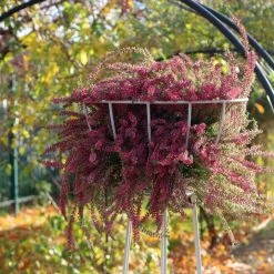 Agriframes Basket Obelisk