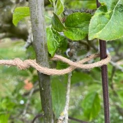 Agriframes Eco Jute Twist Ties STYLES & COLLECTIONS