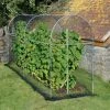 Agriframes Elegance Long Fruit Cage 2 Agriframes Elegance Long Fruit Cage