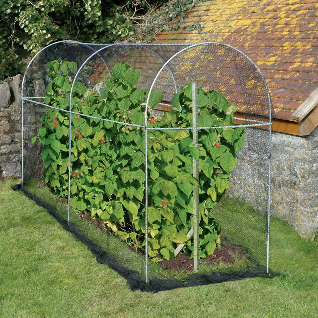 Agriframes Elegance Long Fruit Cage 3 Agriframes Elegance Long Fruit Cage