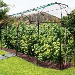 Agriframes STYLES & COLLECTIONS Victorian Classic Fruit Cage