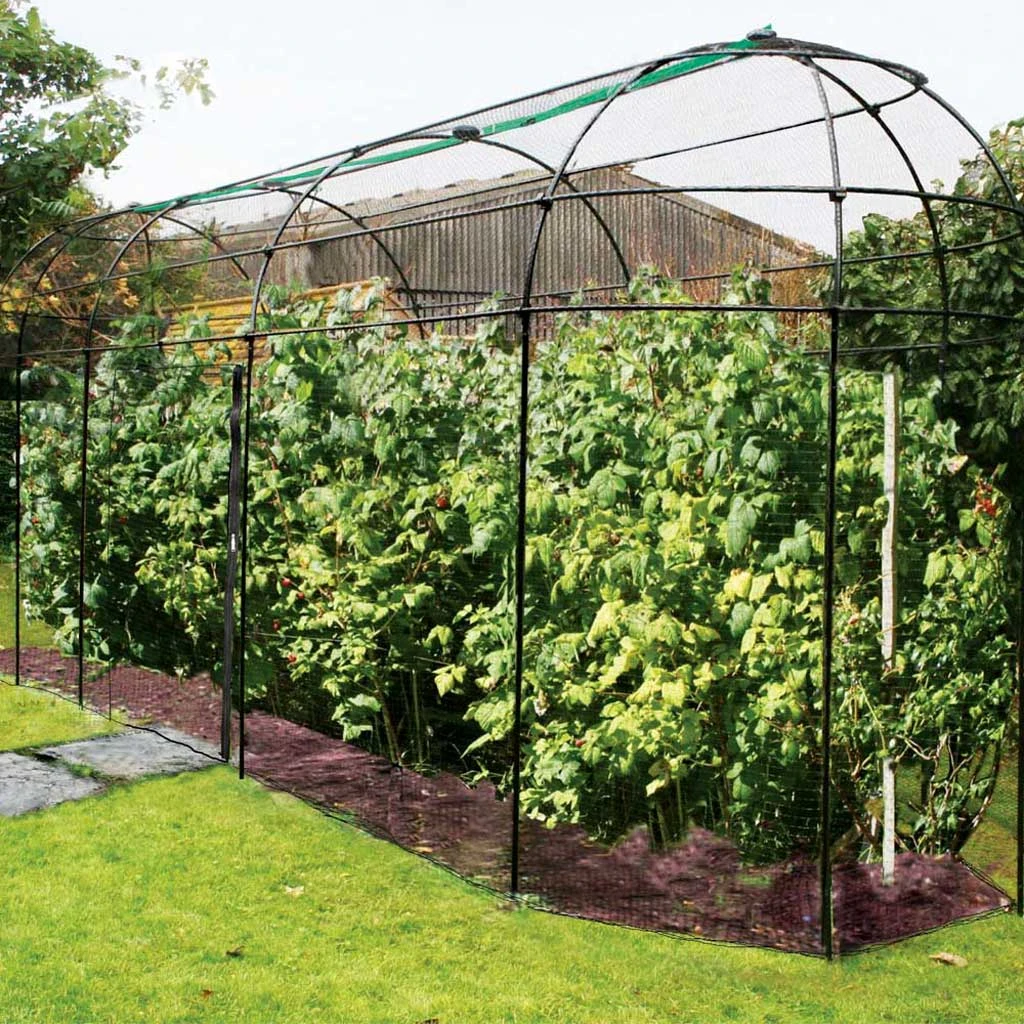 Agriframes STYLES & COLLECTIONS Victorian Classic Fruit Cage 3 Agriframes STYLES & COLLECTIONS Victorian Classic Fruit Cage