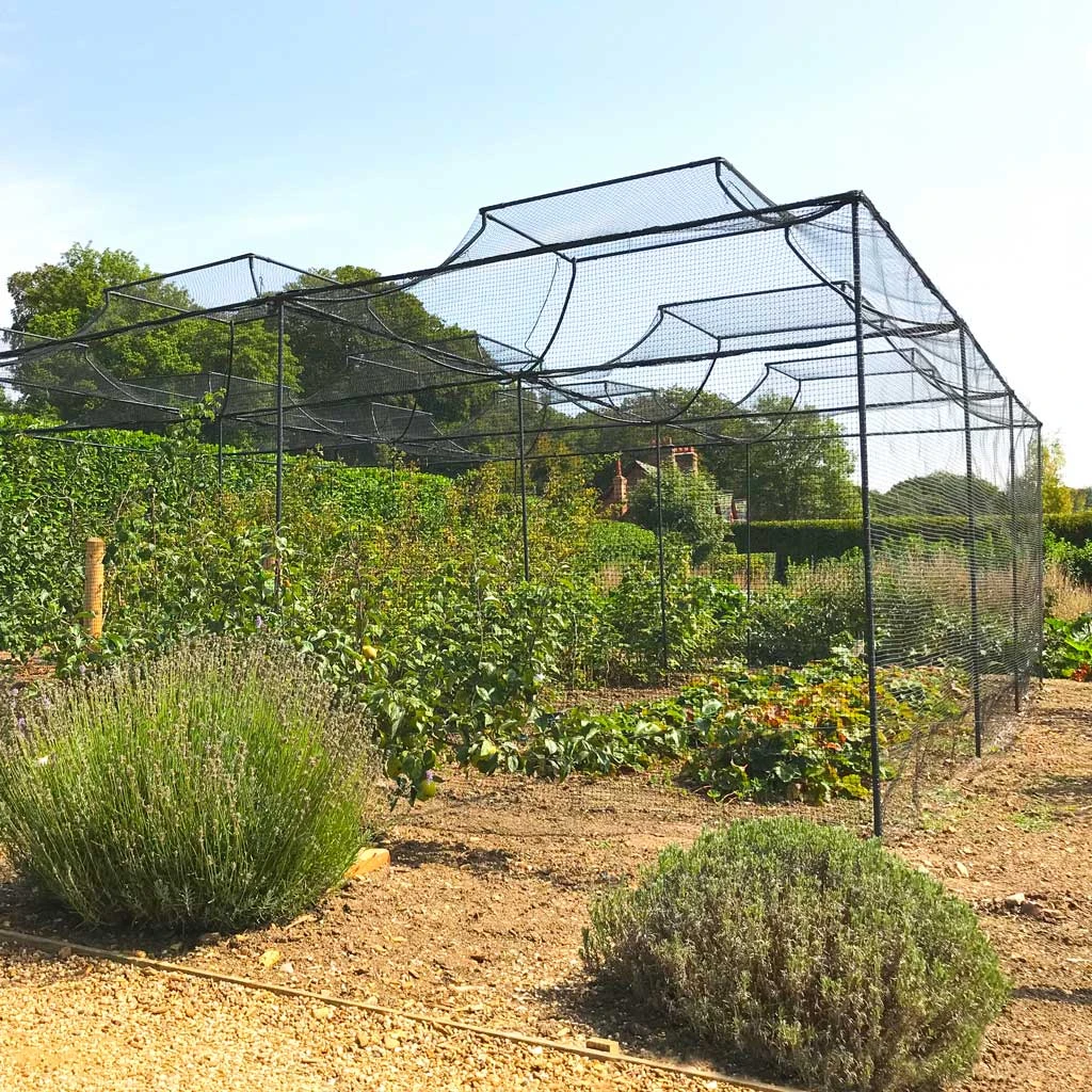 Agriframes Monet Roof Fruit Cage 3 Agriframes Monet Roof Fruit Cage