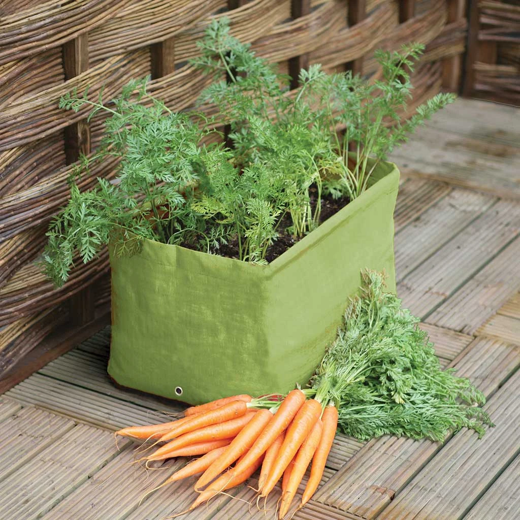 Agriframes Carrot Patio Planter (Pack Of 2) 3 Agriframes Carrot Patio Planter (Pack Of 2)