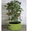 Agriframes STYLES & COLLECTIONS Tomato (Climbing) Patio Planter 1 Agriframes STYLES & COLLECTIONS Tomato (Climbing) Patio Planter