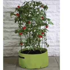 Agriframes STYLES & COLLECTIONS Tomato (Climbing) Patio Planter