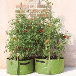 Agriframes Tomato Patio Planter (Pack Of 2) STYLES & COLLECTIONS