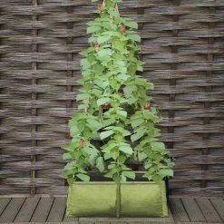 Agriframes Pea & Bean Patio Planter STYLES & COLLECTIONS