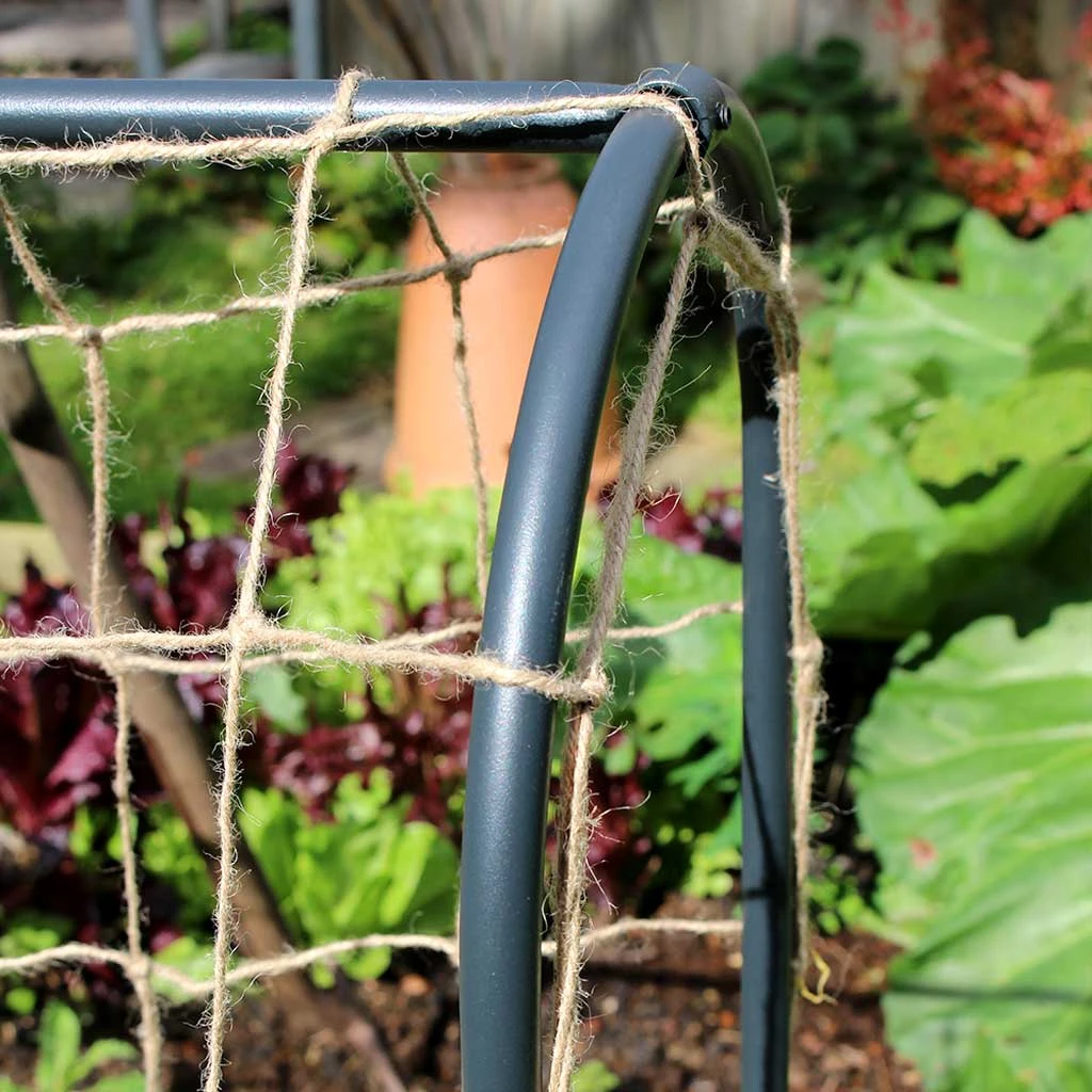 Agriframes Pea & Bean Hoops STYLES & COLLECTIONS 9 Agriframes Pea & Bean Hoops STYLES & COLLECTIONS