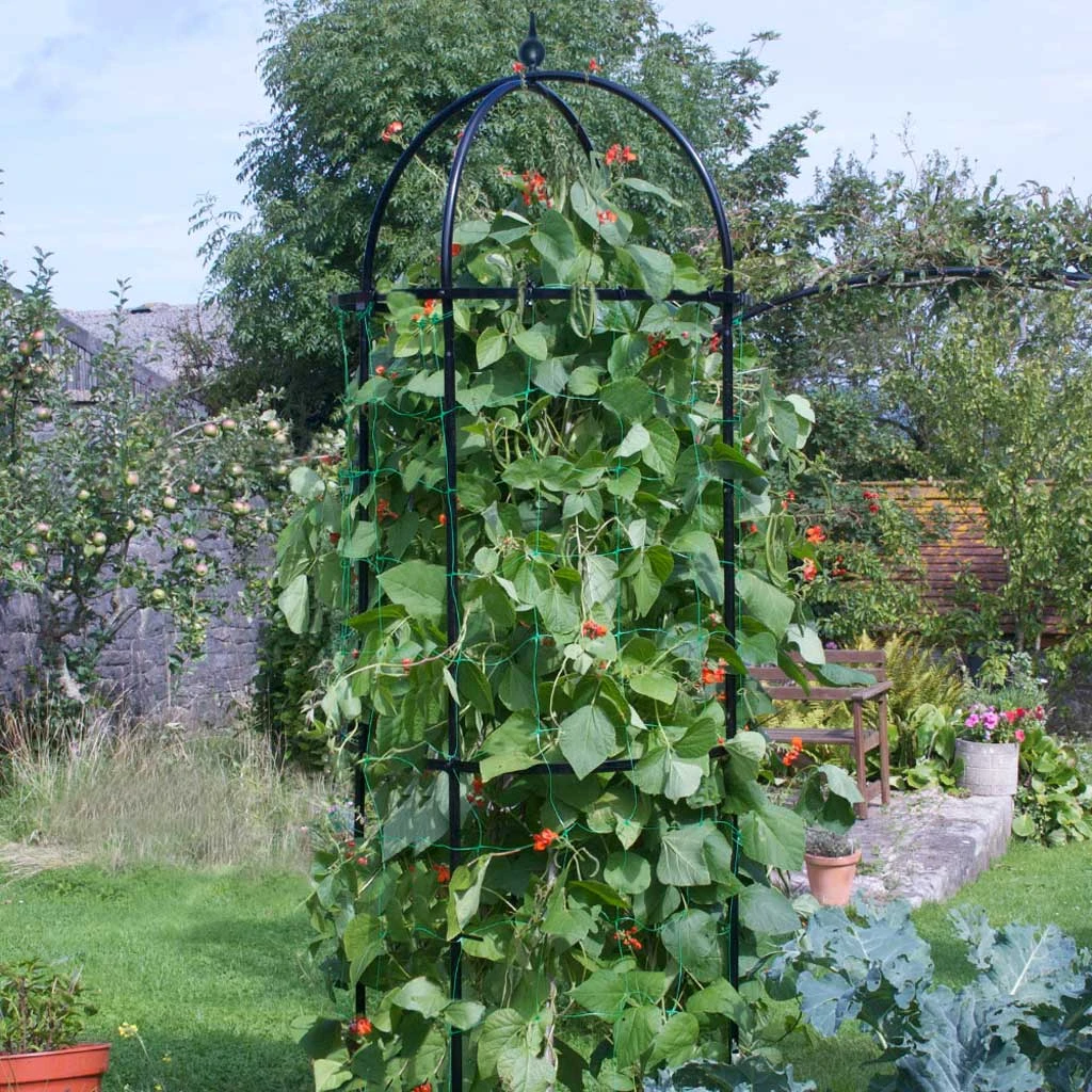 Agriframes STYLES & COLLECTIONS Runner Bean Tower 3 Agriframes STYLES & COLLECTIONS Runner Bean Tower