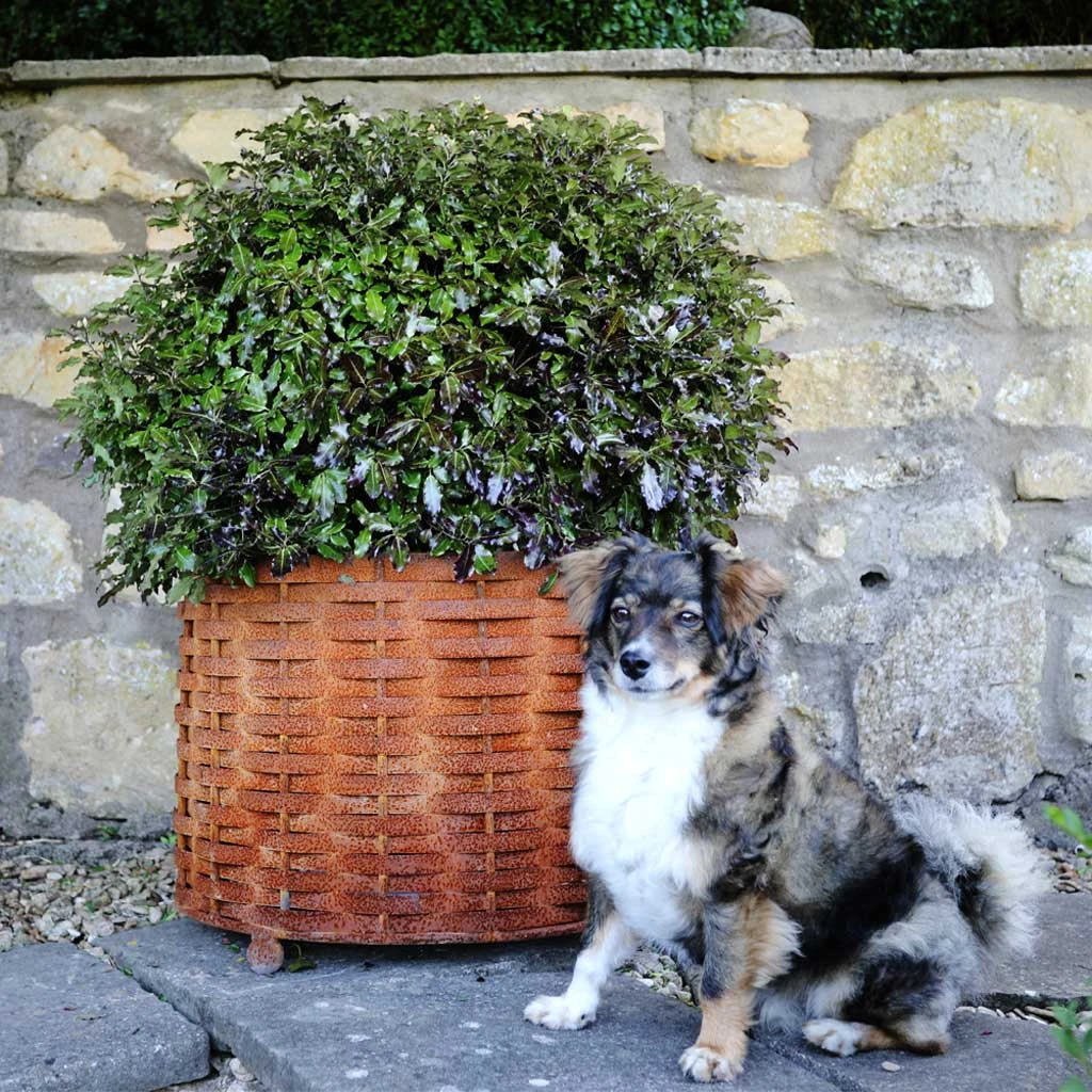 Agriframes Rustic Weave Basket 4 Agriframes Rustic Weave Basket
