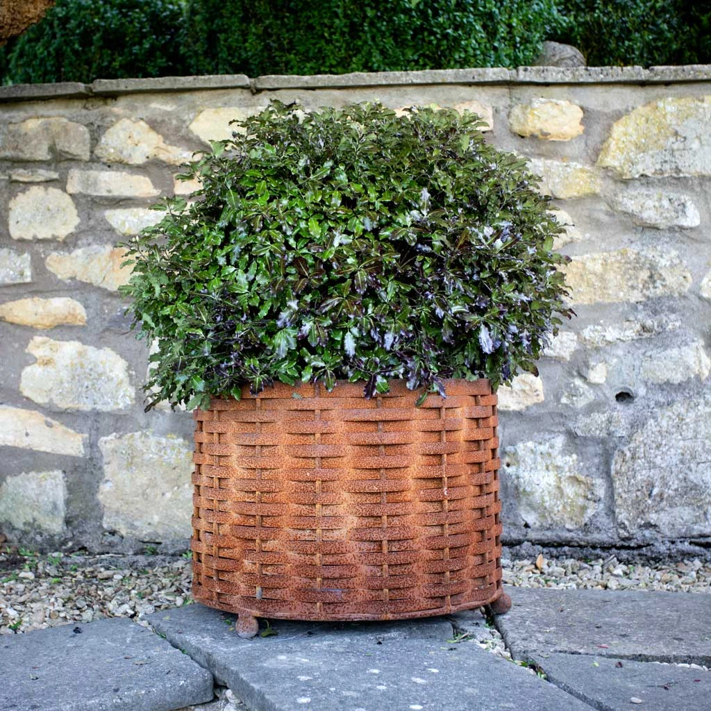 Agriframes Rustic Weave Basket 3 Agriframes Rustic Weave Basket