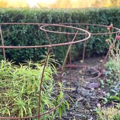 Agriframes STYLES & COLLECTIONS Fluted Peony Support