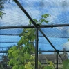 Agriframes Fruit Cage Roof Net 1 Agriframes Fruit Cage Roof Net