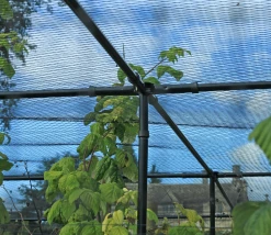 Agriframes Superior Fruit Cage - Traditional Matt Black 17 Agriframes Superior Fruit Cage - Traditional Matt Black