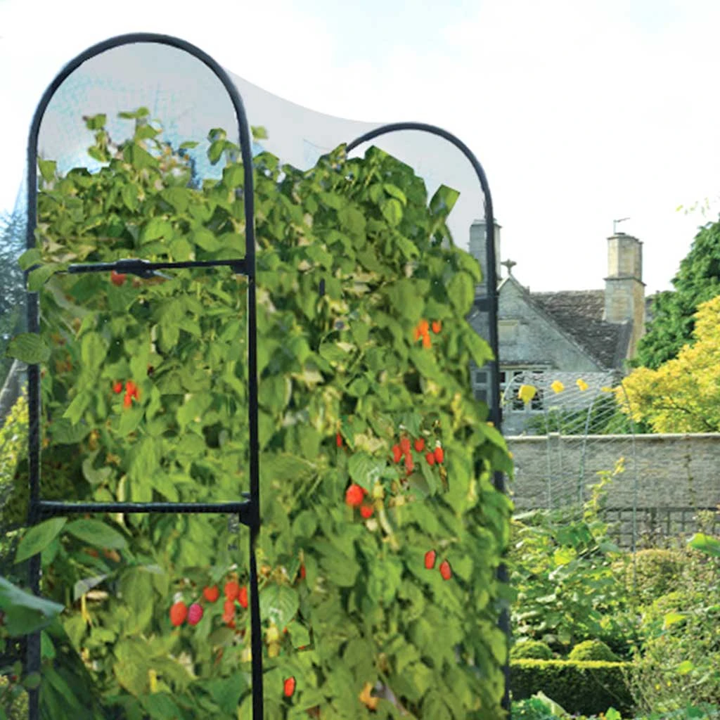 Agriframes Telescopic Raspberry Support STYLES & COLLECTIONS 3 Agriframes Telescopic Raspberry Support STYLES & COLLECTIONS
