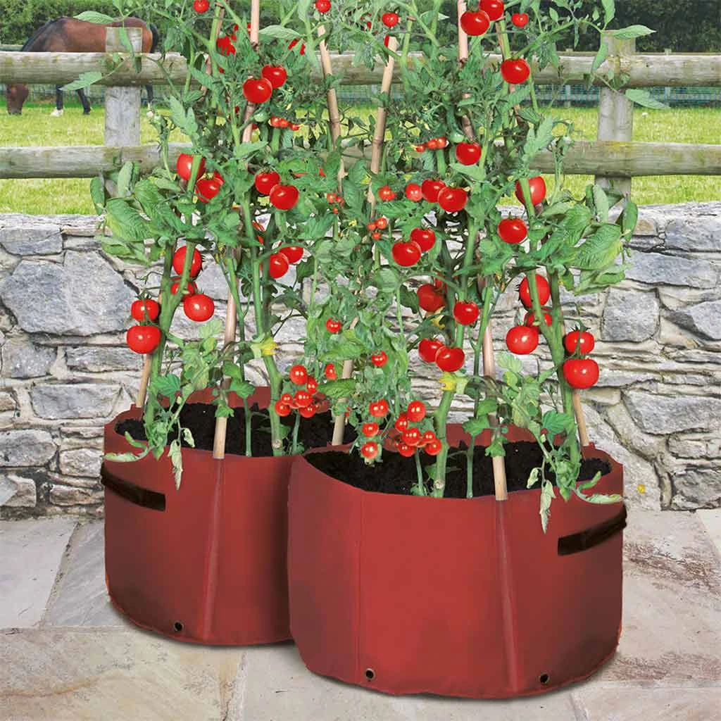 Agriframes Tomato Patio Planter (Pack Of 2) STYLES & COLLECTIONS 3 Agriframes Tomato Patio Planter (Pack Of 2) STYLES & COLLECTIONS