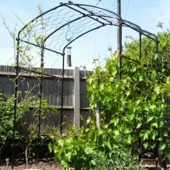 Agriframes Vine Arch STYLES & COLLECTIONS 10 Agriframes Vine Arch STYLES & COLLECTIONS
