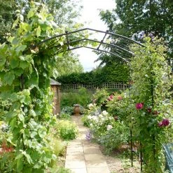 Agriframes Vine Arch STYLES & COLLECTIONS