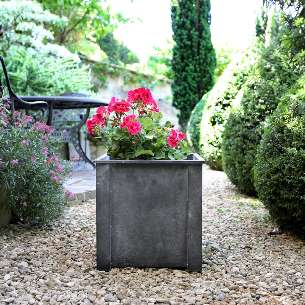 Agriframes STYLES & COLLECTIONS Vintage Zinc Planter 3 Agriframes STYLES & COLLECTIONS Vintage Zinc Planter