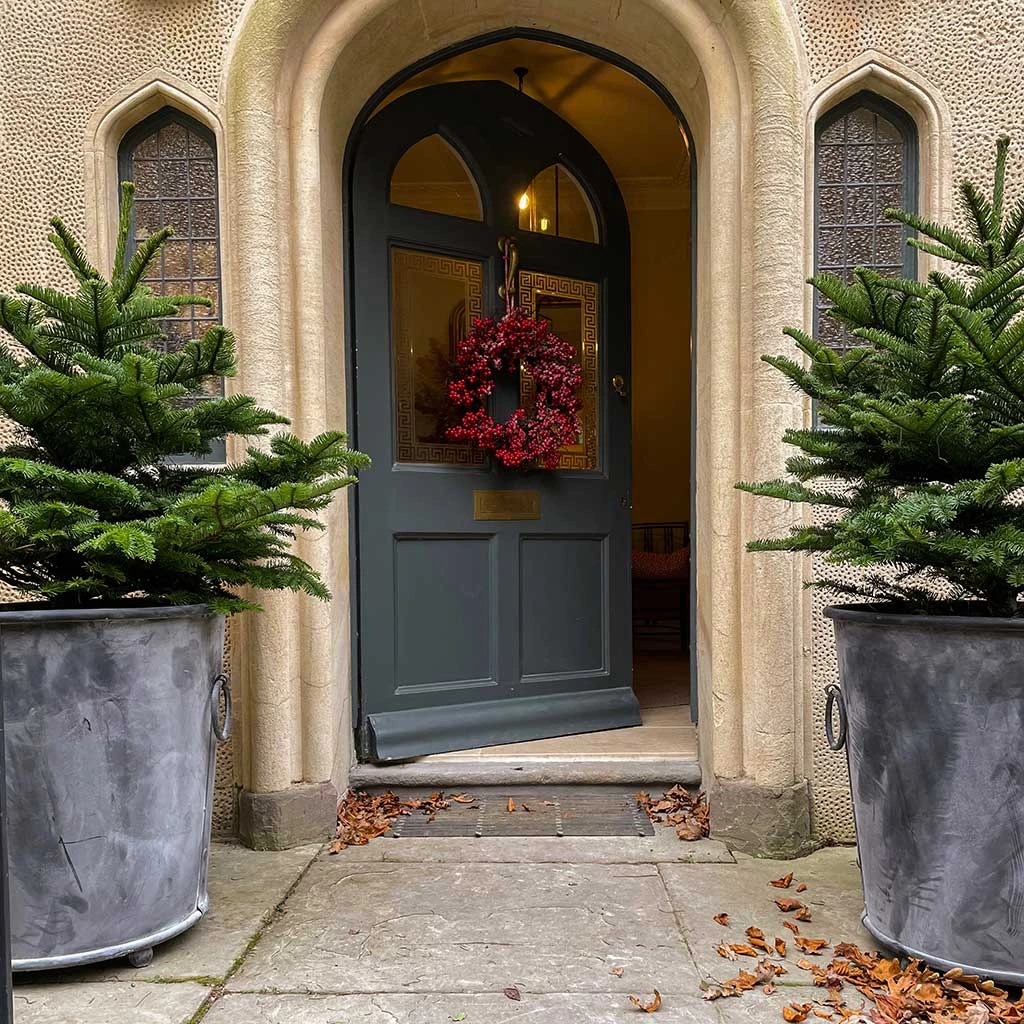 Agriframes Classic Zinc Planter 6 Agriframes Classic Zinc Planter