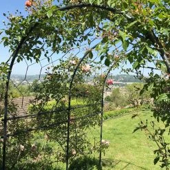 Agriframes Round Pergola With Lattice 15 Agriframes Round Pergola With Lattice