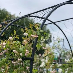 Agriframes Round Pergola With Lattice 14 Agriframes Round Pergola With Lattice