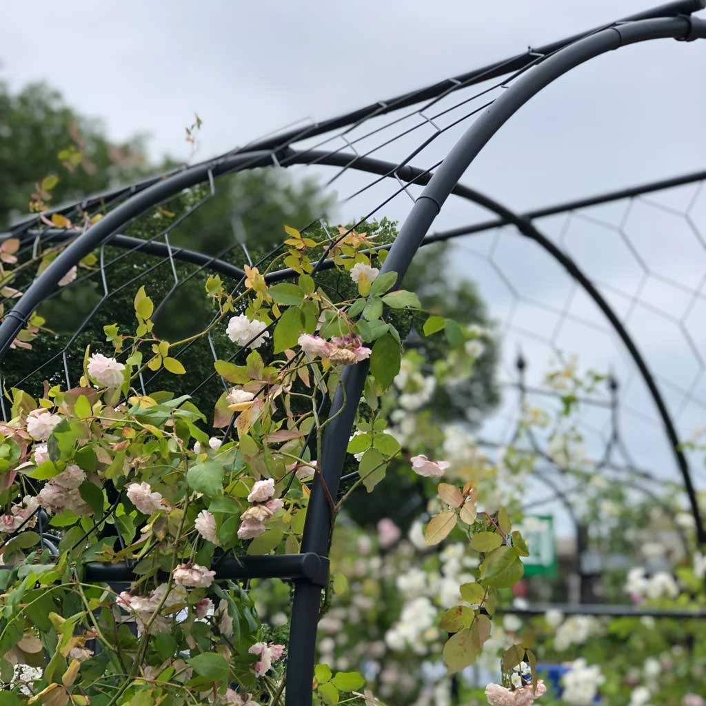 Agriframes Round Pergola With Lattice 6 Agriframes Round Pergola With Lattice