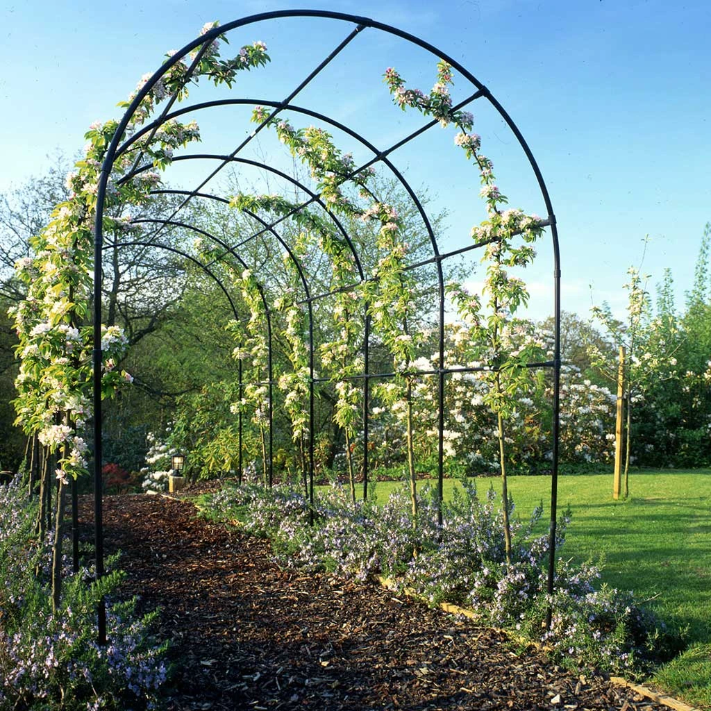 Agriframes ARCHED PERGOLAS Round Pergola 7 Agriframes ARCHED PERGOLAS Round Pergola