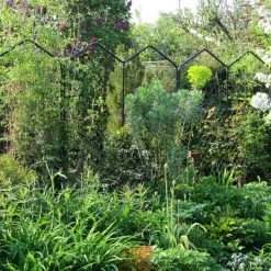 Agriframes Alpine Screen 10 Agriframes Alpine Screen