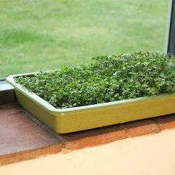 Agriframes Bamboo Seed Tray STYLES & COLLECTIONS