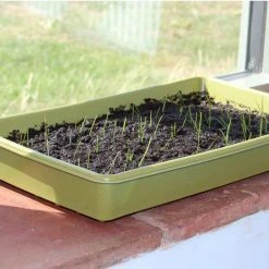 Agriframes Bamboo Seed Tray STYLES & COLLECTIONS