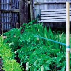 Agriframes STYLES & COLLECTIONS Birdscare 7 Agriframes STYLES & COLLECTIONS Birdscare