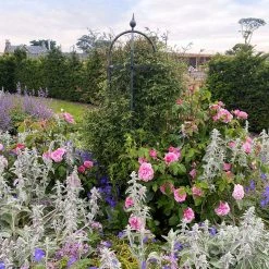 Agriframes STYLES & COLLECTIONS Classic Obelisk 18 Agriframes STYLES & COLLECTIONS Classic Obelisk