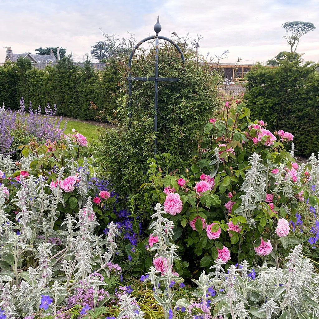 Agriframes STYLES & COLLECTIONS Classic Obelisk 5 Agriframes STYLES & COLLECTIONS Classic Obelisk