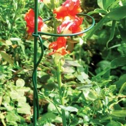 Agriframes Clip Ring (3 Pack) STYLES & COLLECTIONS