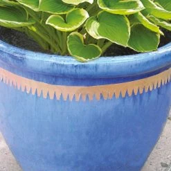 Agriframes Copper Slug And Snail Tape STYLES & COLLECTIONS