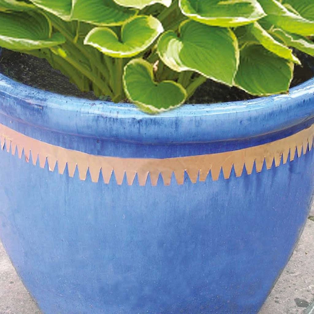 Agriframes Copper Slug And Snail Tape STYLES & COLLECTIONS 4 Agriframes Copper Slug And Snail Tape STYLES & COLLECTIONS