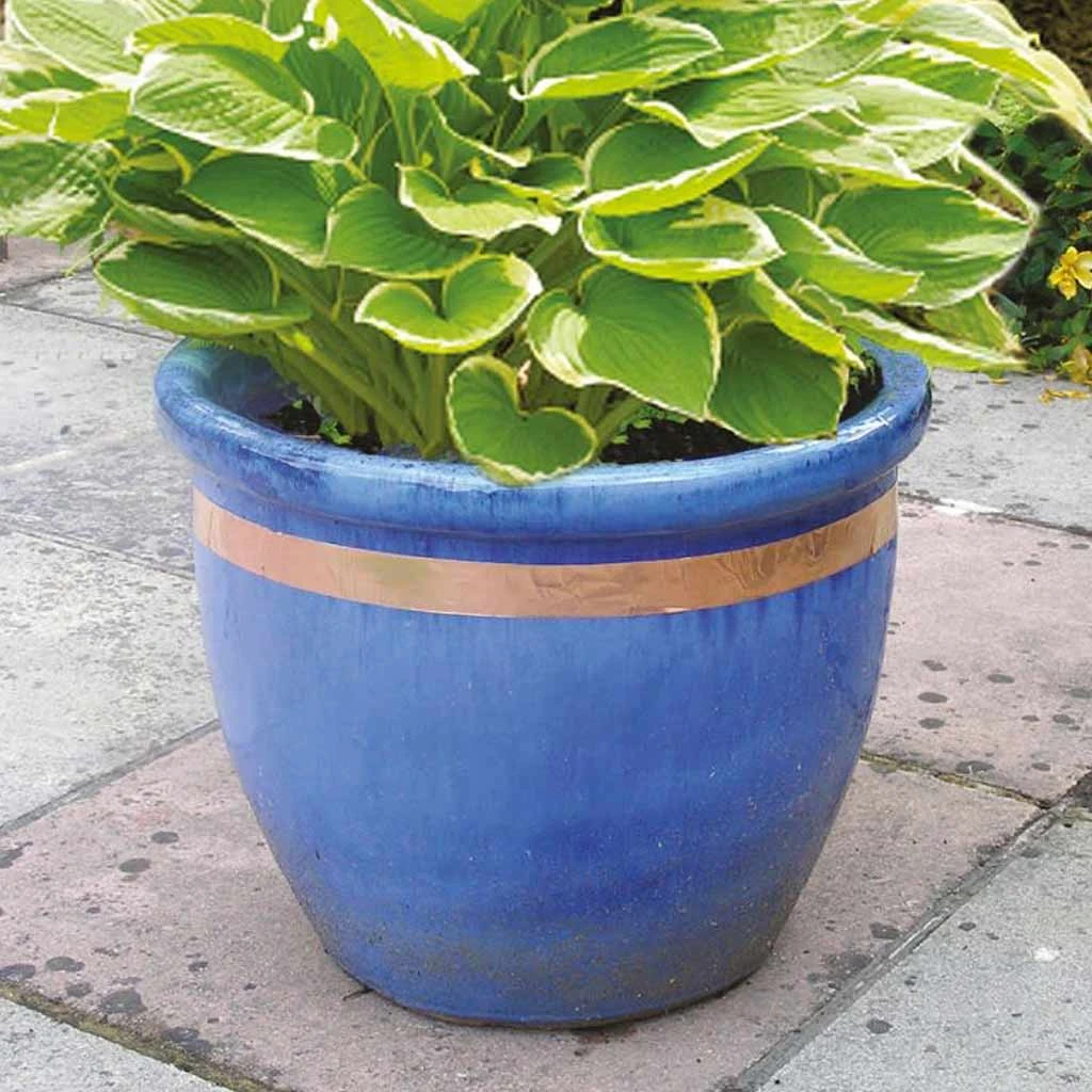 Agriframes Copper Slug And Snail Tape STYLES & COLLECTIONS 3 Agriframes Copper Slug And Snail Tape STYLES & COLLECTIONS