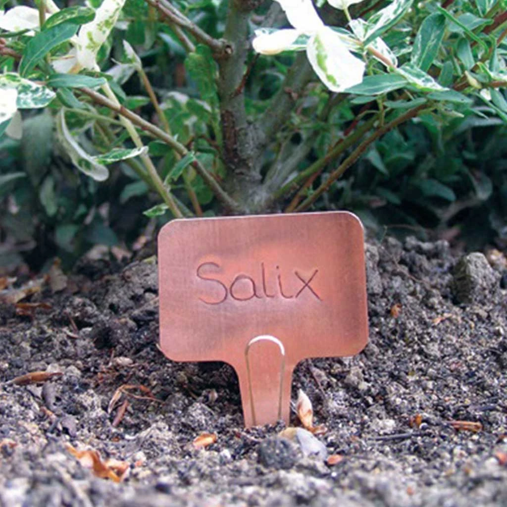 Agriframes Copper T Labels STYLES & COLLECTIONS 3 Agriframes Copper T Labels STYLES & COLLECTIONS