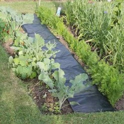 Agriframes Easy Path