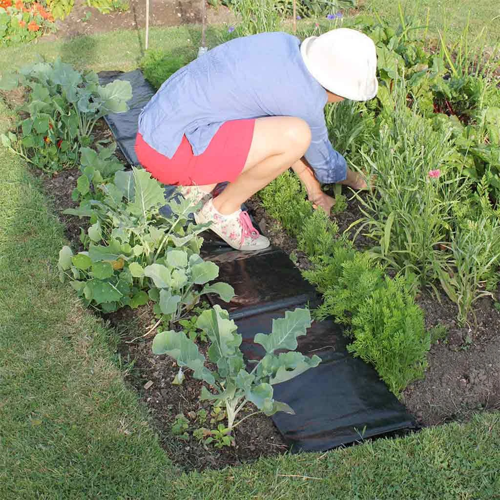 Agriframes Easy Path 5 Agriframes Easy Path