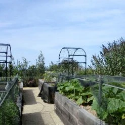 Agriframes Elegance Crop Cage 25 Agriframes Elegance Crop Cage