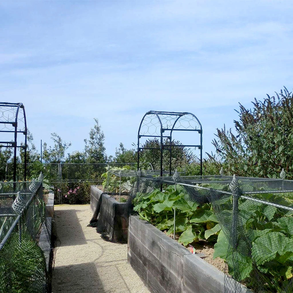 Agriframes Elegance Crop Cage 14 Agriframes Elegance Crop Cage